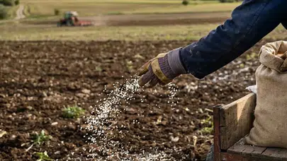 Türkiye'de 2016'dan beri yasaktı: İran savaşıyla yeniden serbest oldu!