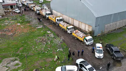 Hepsini vatandaşa yedireceklerdi: Şanlıurfa'da 50 ton bozuk tavuk eti ele geçirildi