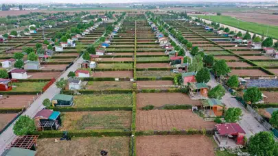 Hobi bahçeleri yıkılacak mı? Tarım arazilerindeki kaçak yapılara yeni düzenleme geliyor
