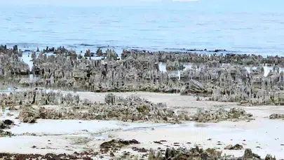 Van Gölü’nde kuraklık etkisi: Mikrobiyalitler ortaya çıktı