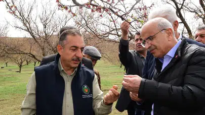 Malatya’da dolu felaketi: 7 ilçede 52 mahalle hasar gördü
