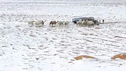 Suudi Arabistan'da çöller beyaza büründü