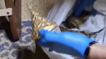 İzmir’de Roma ve Bizans dönemine ait 203 parça ele geçirildi