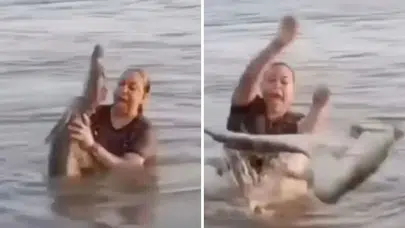 Meksika'da timsah kabusu: Kütük sandığı timsahı eline aldı!