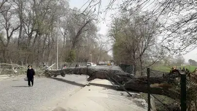 Meteoroloji uyardı: Batı Karadeniz ve Marmara’da fırtına bekleniyor