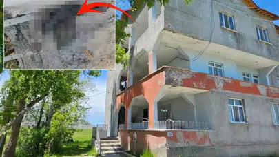 Muş’ta yılan alarmı: Evlerini 3 metrelik yılanlar sardı