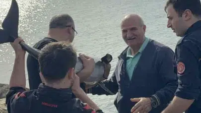 Samsun'da kayalıklara sıkışan yunus kurtarıldı