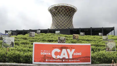 ÇAYKUR’dan çay hasadı açıklaması: “900 ton yaş çay alındı”