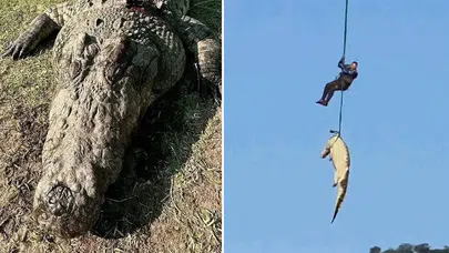 Kayıp kişileri o mu yedi? Dev timsahın midesinden 6 çift terlik çıktı