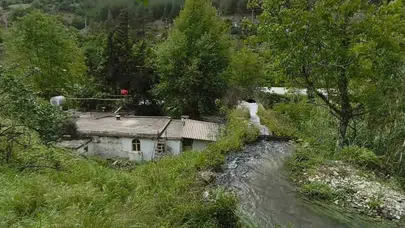 Antalya’da domuz avı faciası: 1 kişi hayatını kaybetti