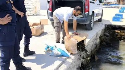 Aydın’da menşe belgesiz taşınan 60 kilogram canlı yengeç ele geçirildi