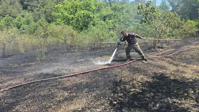 Bursa'da bağ evinde yangın çıktı: 4 dönüm alan zarar gördü