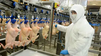 Mahkemeden beyaz et devlerine ilişkin yeni karar: Kayyum tedbiri durduruldu