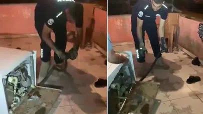 Bulaşık makinesinden 2 metrelik karayılan çıktı
