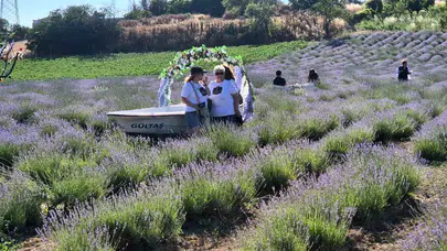 Tekirdağ'da lavanta sezonu etkinliklerle açıldı