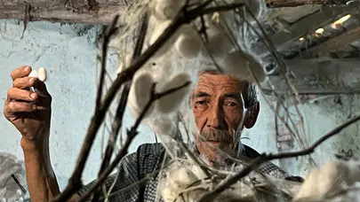 60 yıllık emeğin karşılığı: 71 yaşındaki üretici 40 günde 216 bin TL gelir elde etti