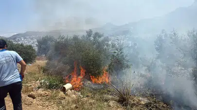 Bodrum'da yangın: Maki yangınında 1 dekar alan zarar gördü