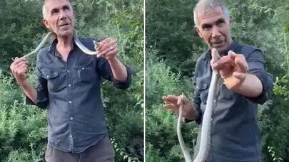 Zehirli engerek yılanını eliyle yakaladı, vatandaşları uyardı