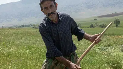 Adana'da devrilen traktörün altında kalan sürücü yaşamını yitirdi