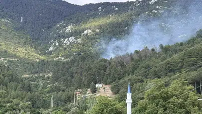 Antalya'da yangın: Yangına havadan ve karadan müdahale ediliyor
