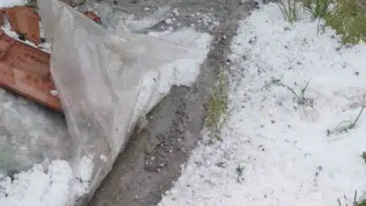 Kastamonu'da dolu yağışı tarım arazilerine zarar verdi