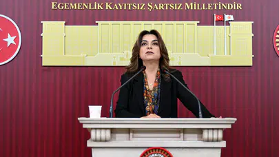 DEM Partili Koçyiğit'ten 12. Yargı Paketi eleştirisi: "Beklentileri karşılamıyor"