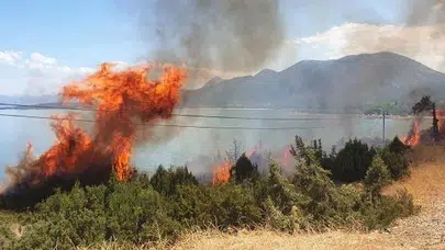 Isparta'da orman yangını: Kontrol altına alındı