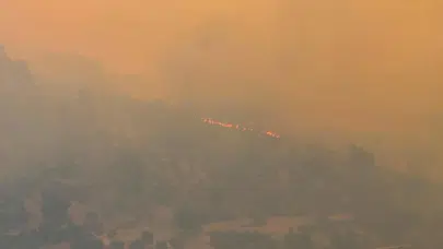 Muğla'da ziraat alanında başlayan yangın ormana sıçradı