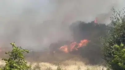 Çanakkale'de orman yangını: Yangına ekipler sevk edildi