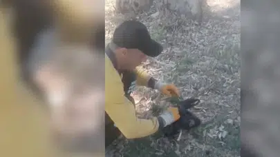 Mersin'de ağzı bağlı poşet içinde çöpe atmışlar! Böyle vicdansızlık olmaz olsun
