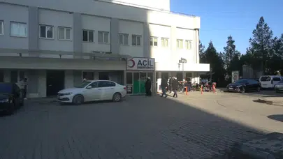Siirt'te gölete giren 2 kardeş boğulma tehlikesi geçirdi
