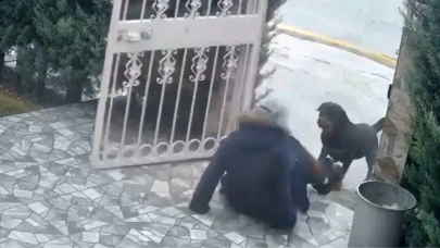 Ankara'da sokak köpekleri saldırısı: Yaralı kadın hastaneye kaldırıldı