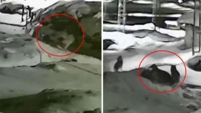 Şekip Mosturoğlu'ndan Fenerbahçe Stadı açıklaması, taşınma iddialarına yanıt geldi