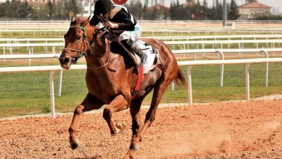 United Racing Şans Oyunları'nın sahibi kim?