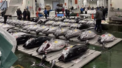 Dev orkinosa milyon dolarlık teklif! Rekor fiyata satıldı