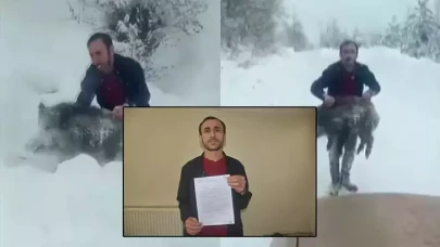 Sinop'ta yavru domuzu elleriyle yakalamıştı: Şenel Yılmaz'a kesilen para ceza kaldırıldı