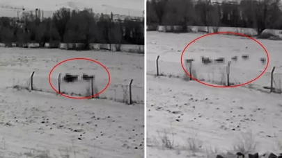 Gündüz vakti baskın yaptılar, vatandaşlar korku içinde