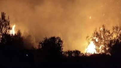 Antalya’nın 3 ilçesinde yangın: Alevlerle zorlu mücadele sürüyor