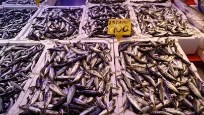 Kar ve fırtına balıkçıyı vurdu: Tezgâhlarda çeşit azaldı