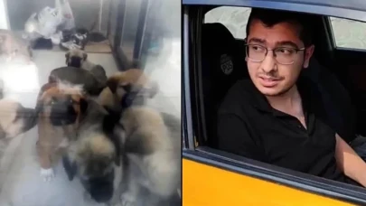 Köpekleri istismar edip öldüren doktor hakkında yeni karar: Yeniden yargılanacak