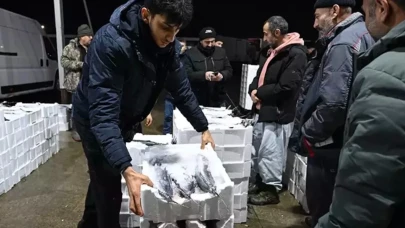 40 yıl sonra bir ilk: Marmara Denizi’nden 500 ton torik avlandı