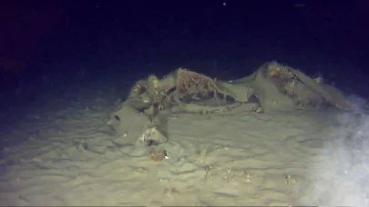 1975’te Marmara Denizi’ne düşmüştü: 51 yıl sonra THY’nin 'Bursa' uçağının parçaları bulundu