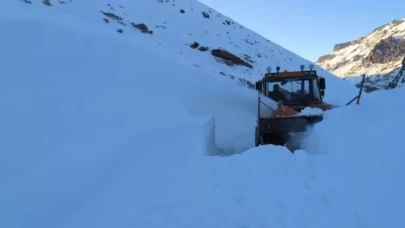 Van'ın da çığ düşmesiyle kapanan yol açıldı