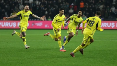 Kocaelispor Fenerbahçe maç özeti 0-2 geniş özet ve goller