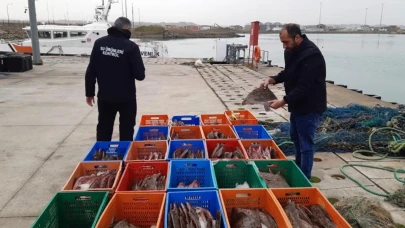 Sakarya'da kaçak avlanan 850 kilo balığa el konuldu