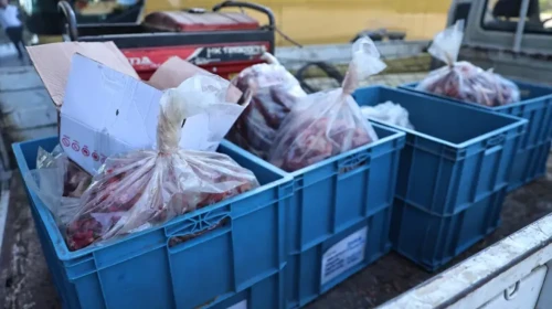 Yolcu otobüsünün bagajında 270 kilo kaçak et ele geçirildi