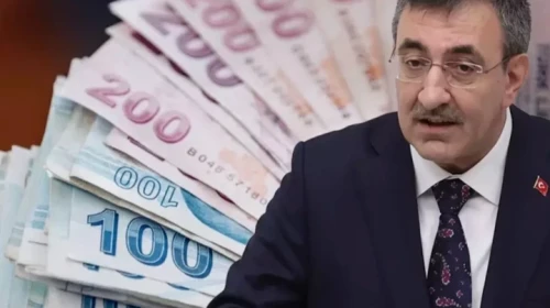 Vatandaşlık maaşı için tarih verildi: Pilot uygulama başlıyor