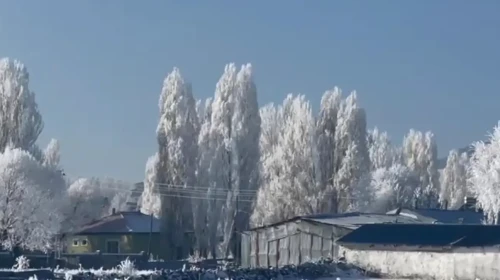 Ardahan Göle’de hava sıfırın altında 20 derece: Halayla ısındılar, araçlar dondu