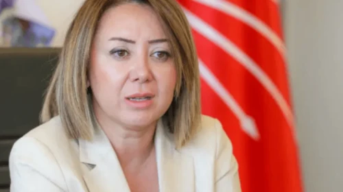 Meryem Gül Çiftçi Binici kimdir ve nereli? Yeni CHP MYK'ında yer alıyor