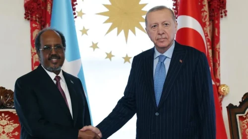 Cumhurbaşkanı Erdoğan: 'İsrail'in Somaliland kararı gayrimeşrudur ve kabul edilemez'